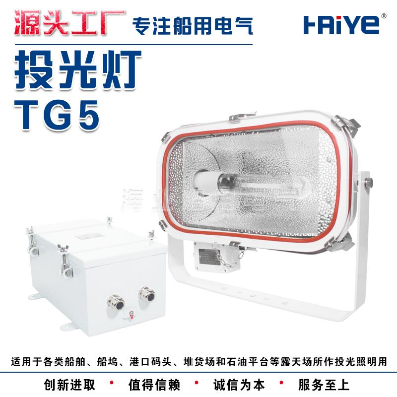 船用不锈钢防水投光灯高压钠灯TG5金属卤化物灯TG6 400W