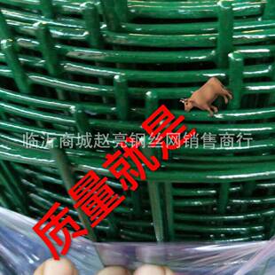 东禽临沂厂家1米荷兰网圈地1米养殖防护网山家畜围牲挡浸塑
