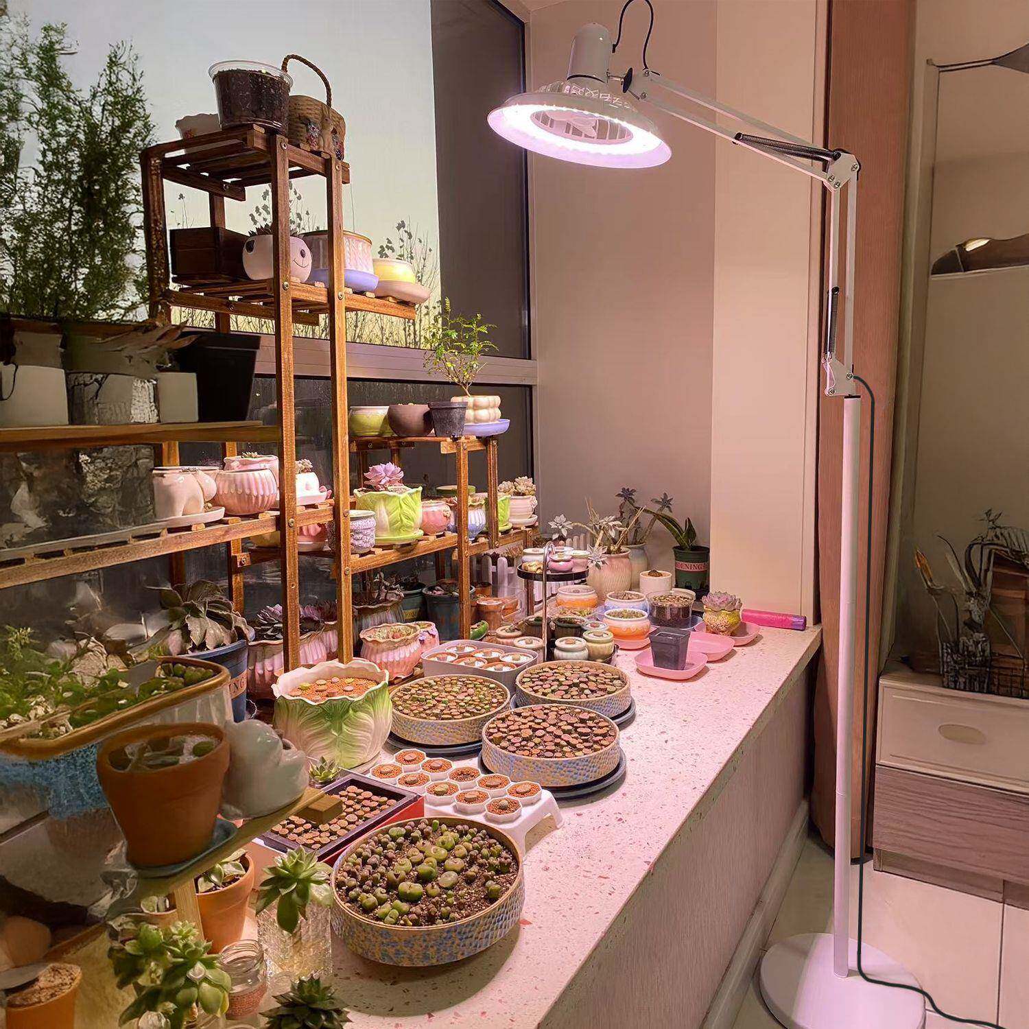 多肉光植物灯防徒长上色仿室太阳光落地式TVW生长促灯内补绿植风