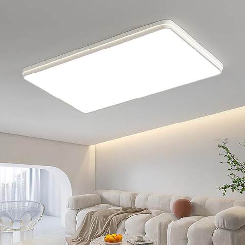 led吸顶农灯2超02卧5新款简约现代大气主灯亮230室灯村自建房客厅