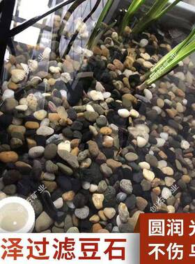 源头鹅暖厂家地回填卵石豆石原色溪流沙溪流庭院造20230410景鹅石