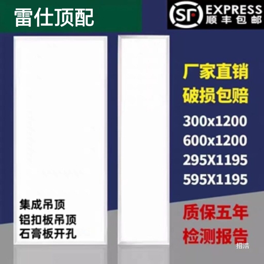 雷仕600x1200/300x1200面板灯