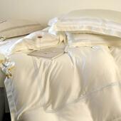 DFO春夏色纯裸双面天丝床单四件套极风三简线刺绣凉感睡被套床上