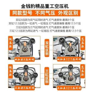 空金钱豹高压压机工业级20V打 80V大型气泵2喷真石漆汽修压DWE缩
