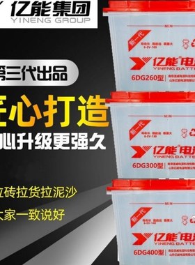 亿能蓄电池6DG260型200 220型180型300型400型拉货拉客三轮车电瓶