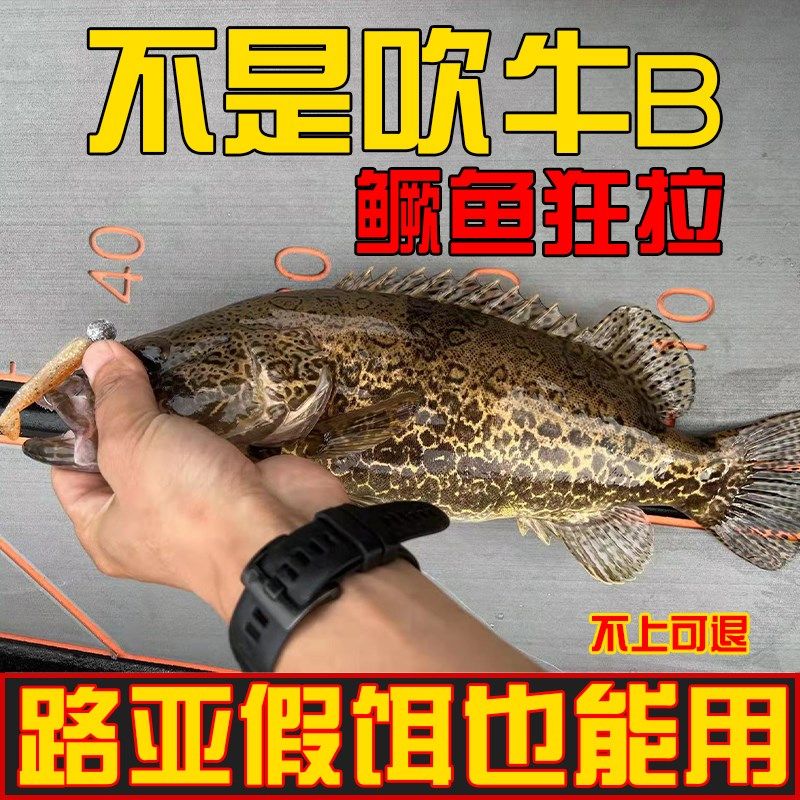 鳜鱼小药诱食剂泡路亚软饵假饵黑坑野钓桂鱼诱鱼剂钓老虎鱼添加剂