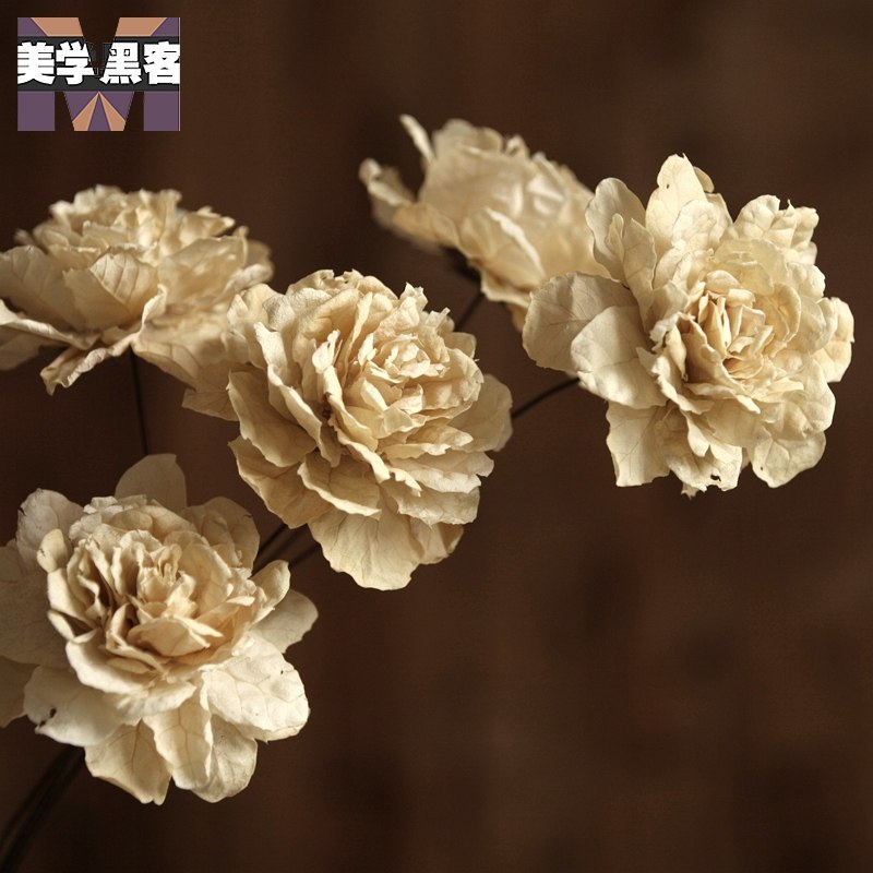 美学黑客爱妃欧式干花束干花真花花束客厅落地客厅室内家居装饰