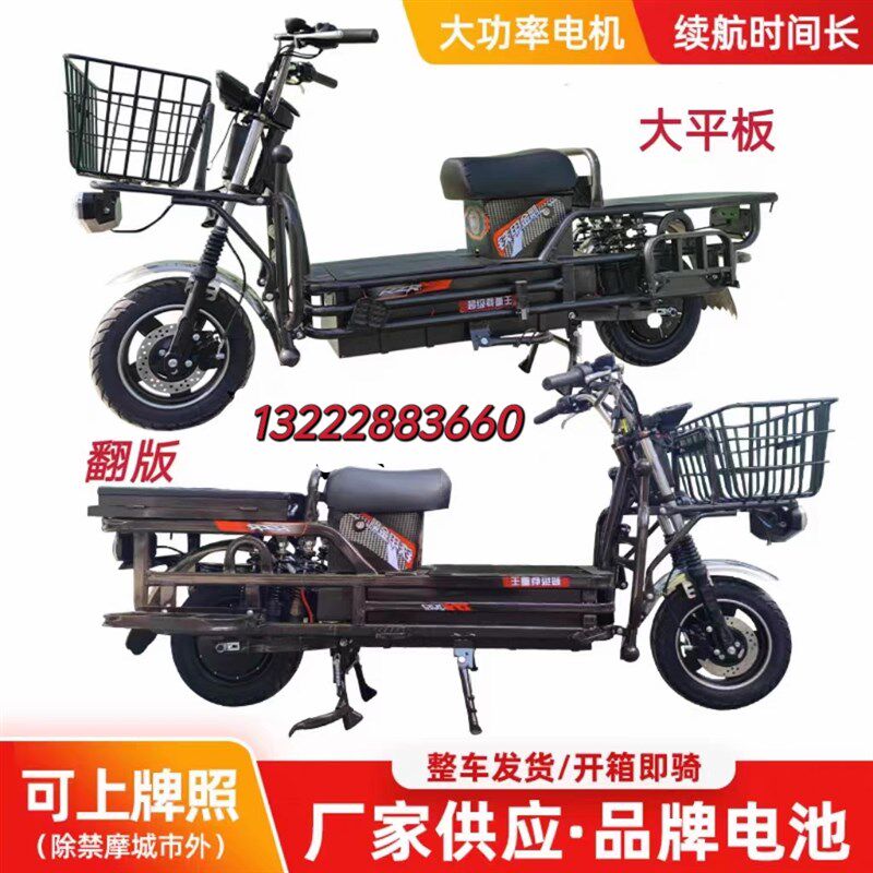 大力神载重王电动车60V72V快递拉货两轮山区爬坡王电瓶车载货车