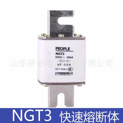 人民电器熔断器NGT3400A500A630A半导体设备保护熔断体