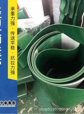 蔬绿轻NIF型输送带快递包裹分色拣果分装选自动化包线pvc输送带