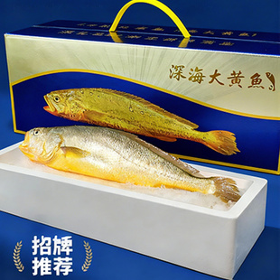 2斤2条福建深海野化大黄鱼礼盒装鱼金龙鱼新鲜活冷冻高端送礼商用