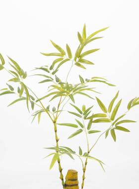 仿真竹子仿真绿植假竹子盆栽室内摆件子饰装竹植仿真Y8572-3-绿植