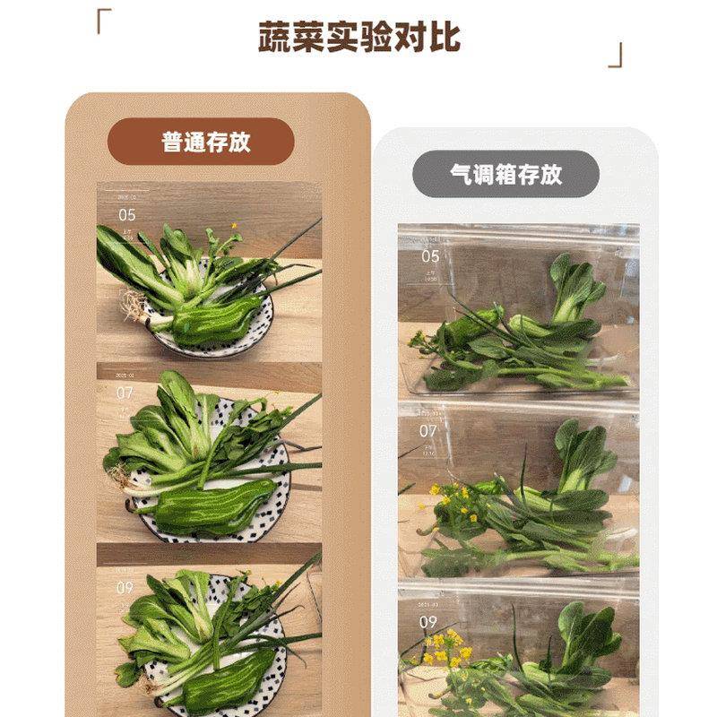 NPCC保温气调箱水果生鲜鲜铝箔保保递鲜纸箱泡沫ZLJ箱冷链物流快