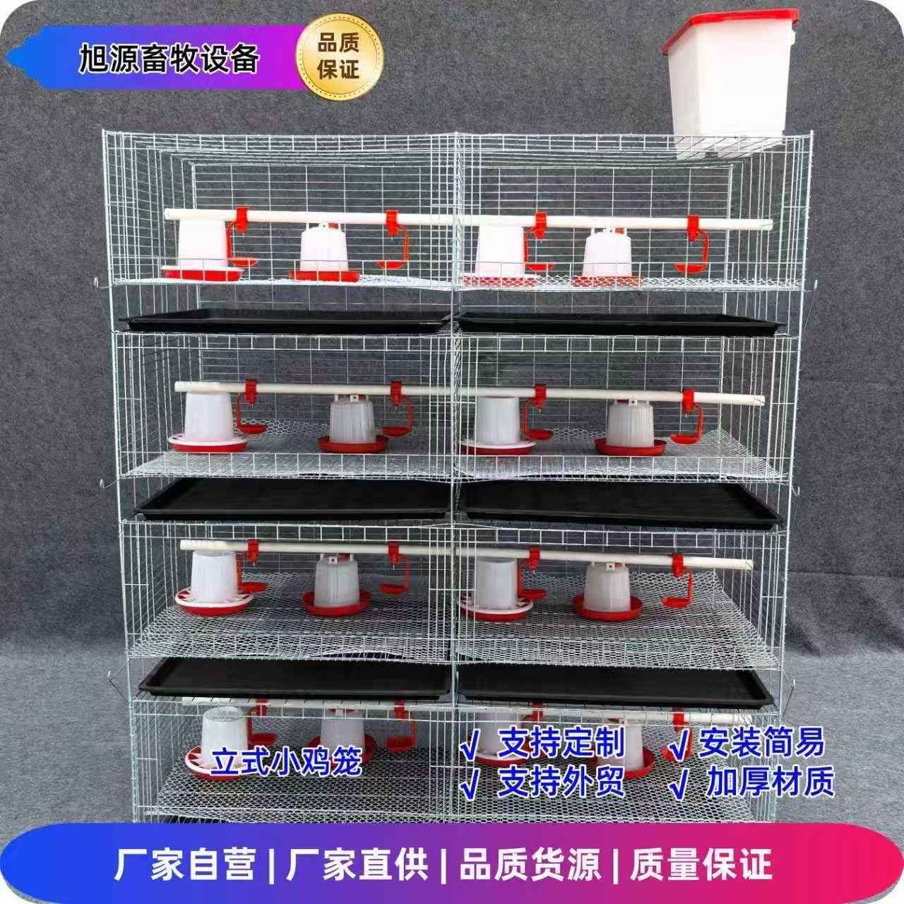 养鸡门场网立式防育雏笼四层两RDH小鸡笼加粗加密镀锌锈笼育雏笼