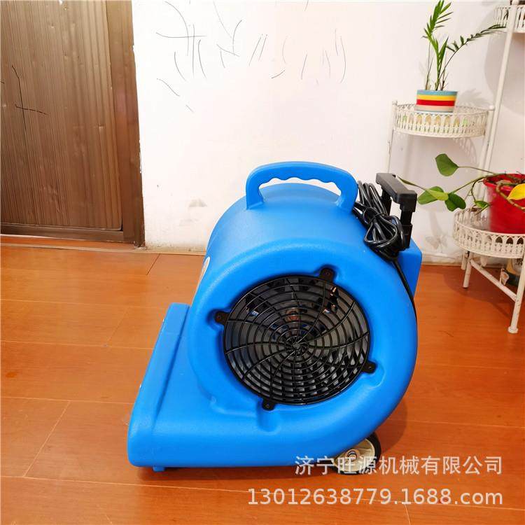 地毯吹地机 地板除潮吹干机 背负式工程吹风机,鲜花速递/花卉仿真/绿植园艺,割草机/草坪机,淘宝优惠券,粉丝福利购,淘宝优惠卷