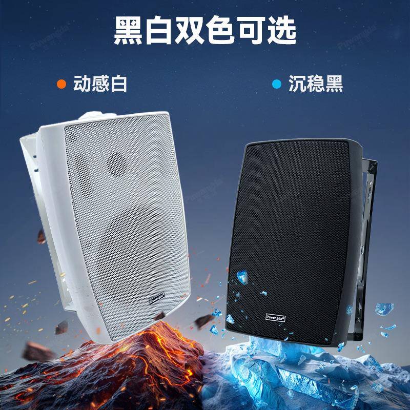壁挂音店铺专用挂铺墙式FT-204重低音室商场店休闲学校音响箱功内