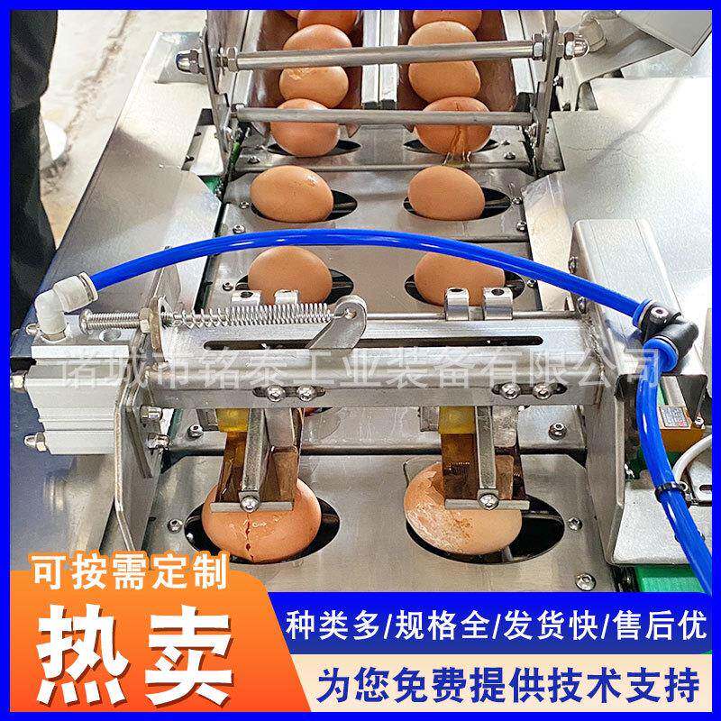 清蛋黄分离蛋机鸡蛋蛋清提取备仿工双排GVP打蛋机全设人蛋液敲蛋