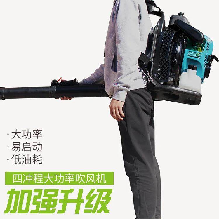 冲肩背式大力汽油吹吹风机新款9900四BIS雪型大马力风力风灭火机,农机/农具/农膜,林业机械,淘宝优惠券,粉丝福利购,淘宝优惠卷