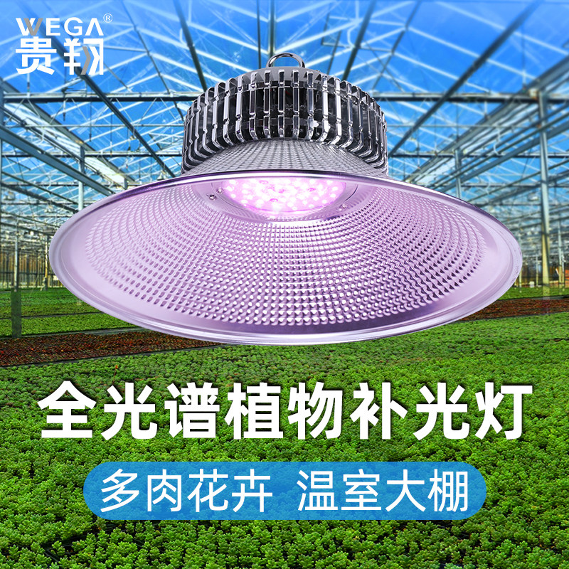 贵翔 植物补光灯全光谱温室大棚室内日照多肉兰花仿太阳光生长灯