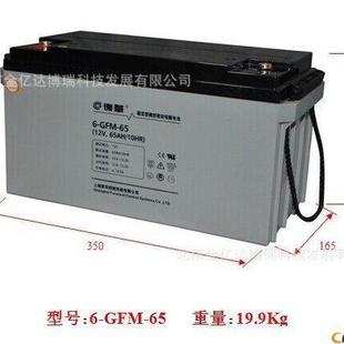 H太阳路灯离网光伏系统电压稳定单能元 复保护神6华 GCNKFM912V9A