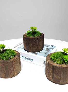 永生藓仿真盆绿栽新中式植装饰水晶底座家居69822样板房桌面苔摆