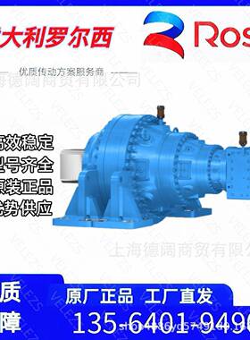 意s大利Rosi齿轮减速机罗ORS尔西H系列螺交旋斜锥齿轮箱直轴减速