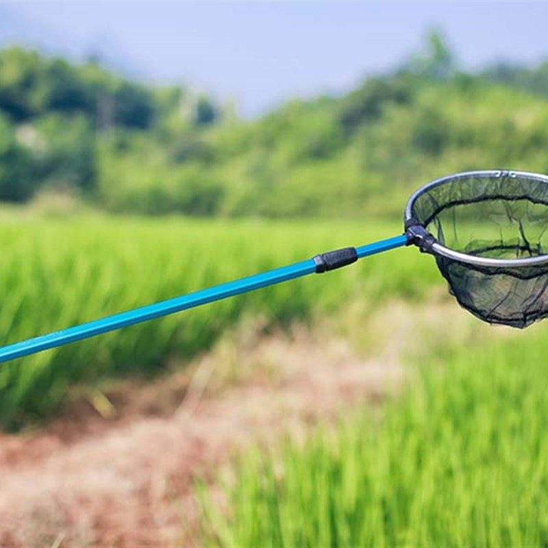 寻蝶园儿童伸缩捞鱼网小鱼网兜捞网龙虾蝌蚪 折叠捕虫网