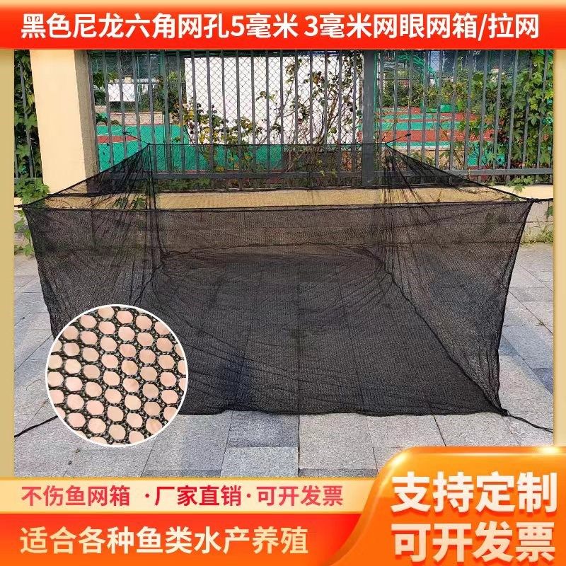 黑色尼龙六角5毫米网箱鱼苗育苗水花养殖网箱网片抬网不伤鱼定做