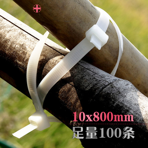 工业级国标自锁式扎带尼龙绑带10X800塑料固定卡扣白色强力捆绑带