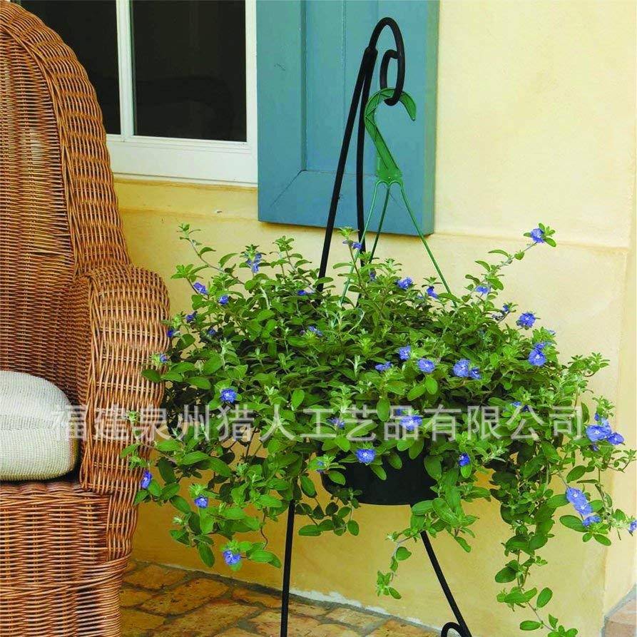 简约黑色室内外花园卷铁挂钩花园立式挂花篮铁艺挂钩