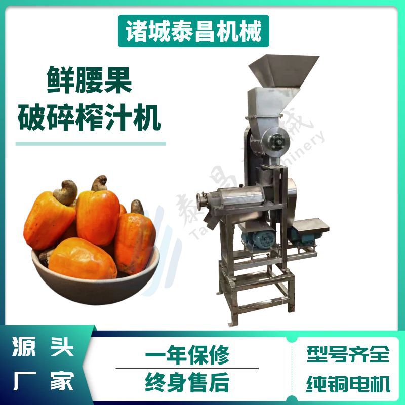 腰果汁橄榄榨汁机仙人掌果杨梅榨汁机器蜜瓜番石榴破碎榨汁设备