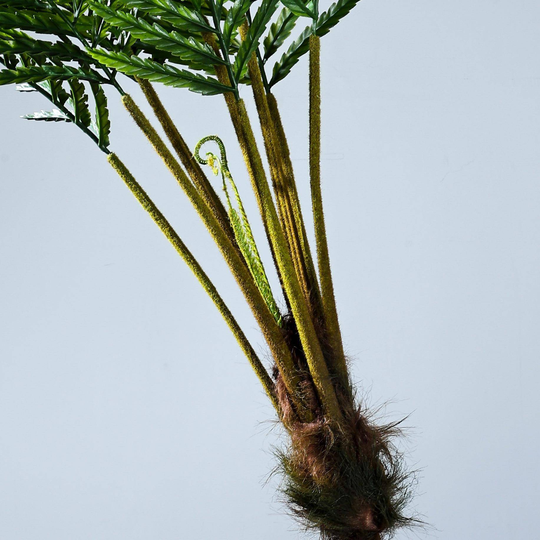 波蕨波斯草头蕨仿真绿斯植盆大型把猴束软装造景装QYBS2410饰植物