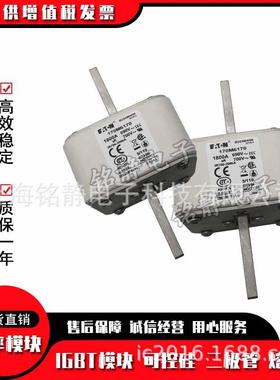 170M6017170M6018170M60192170600QMZ巴斯曼熔断器M现货170M6021