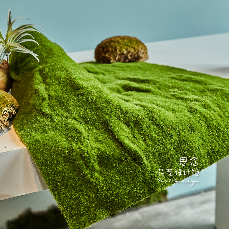 仿真软苔藓造景苔藓微景观假苔绿植墙假草皮植物打底青苔假苔藓草