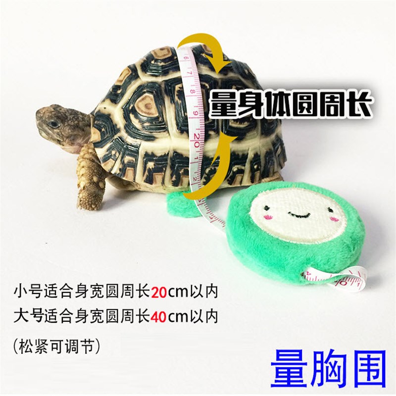 乌龟陆龟牵引绳溜龟绳外出牵绳背带人造皮爬宠蜥蜴户外便携遛龟绳