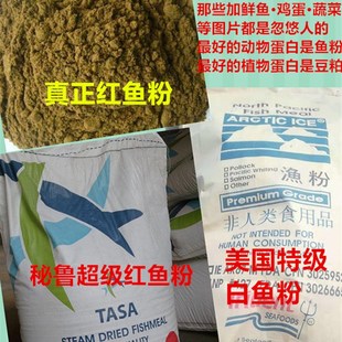 马团长劲鳞鱼粮锦鲤蝴蝶鲤育成+增体+色扬三合一鱼粮饲料七好