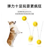 亲宠宠物实心弹力球追逐互动狗玩具耐咬耐啃中小犬型柯基泰迪玩具