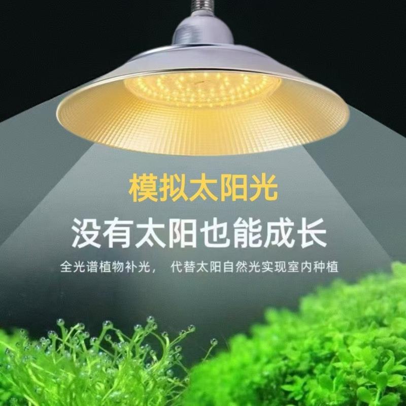 植物补光灯全光谱樱桃草莓蔬菜番茄红蓝光葡萄育苗大棚生长灯