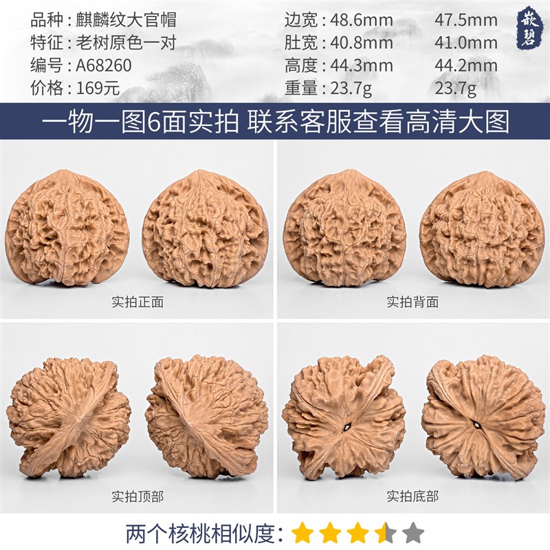 文玩核桃麒麟纹官帽核桃一物一图A68260老树白茬王勇官帽特大48mm