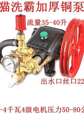 飞驰黑猫洗霸熊PX040A44C/BHl4305高压清洗猫机泵YCV头总自吸活塞