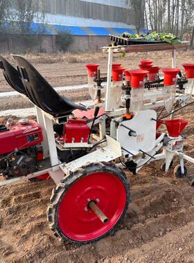 两行自走式动蔬菜OYQ移机栽青菜红薯秧苗种植大机棚内蔬菜自移栽