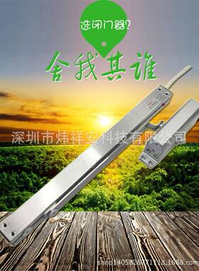 A圳联动WXA-M009电动闭门厂家24V-80M电子闭深门器器断电释放现货