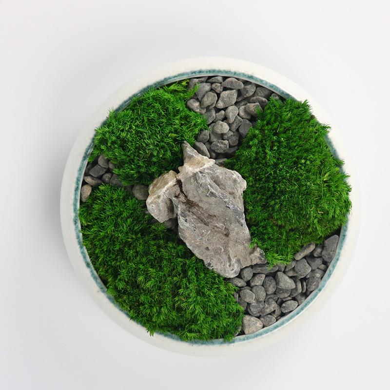 JC1526现代简花艺盆栽造景约苔藓摆件家居样板房间客茶几厅饰软装