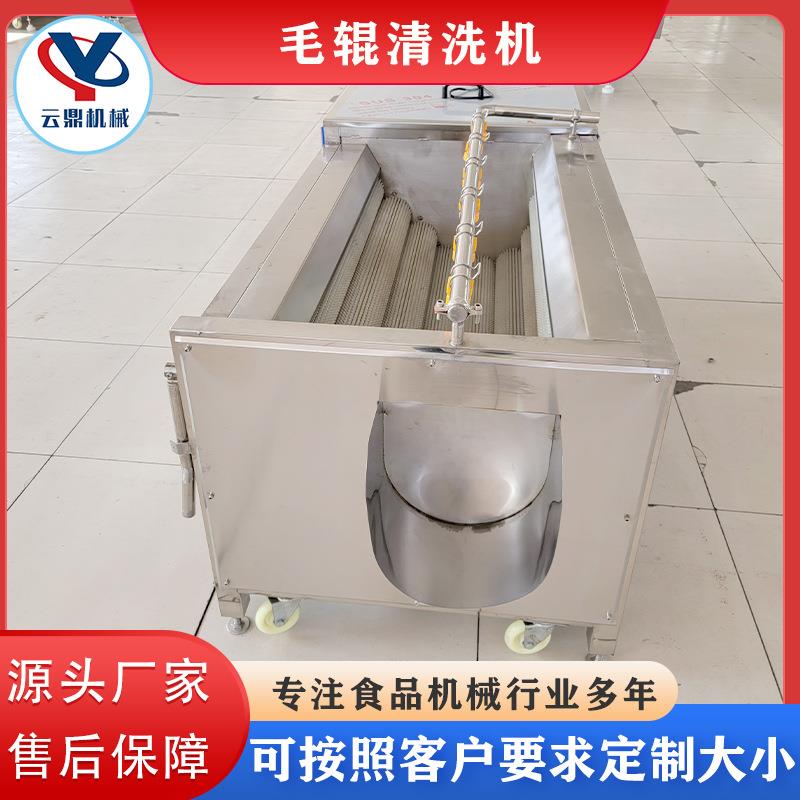 海蛎子扇贝去泥清机RCT带鱼黑鱼去鳞洗机器全自洗动毛辊清洗清机