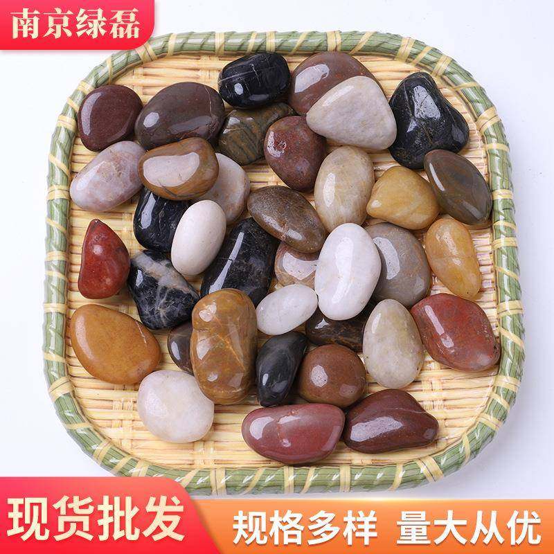 卵雨花石原石天然小石EPG子鱼缸花鹅软石庭院装饰园艺五彩盆鹅石,鲜花速递/花卉仿真/绿植园艺,其它园艺用品,淘宝优惠券,粉丝福利购,淘宝优惠卷