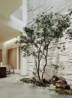 仿真树绿植饰室内外景观造景南天竹假鸡树爪槭井橱窗装XVG套装组