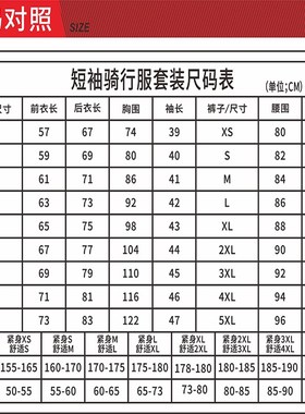 2021ASTA骑行服车队版夏季短袖骑行上衣透气速干自行车骑行服套装