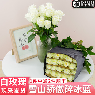 骄傲白玫瑰鲜花云南基地直发鲜切花家用水养碎冰蓝雪山真花同城