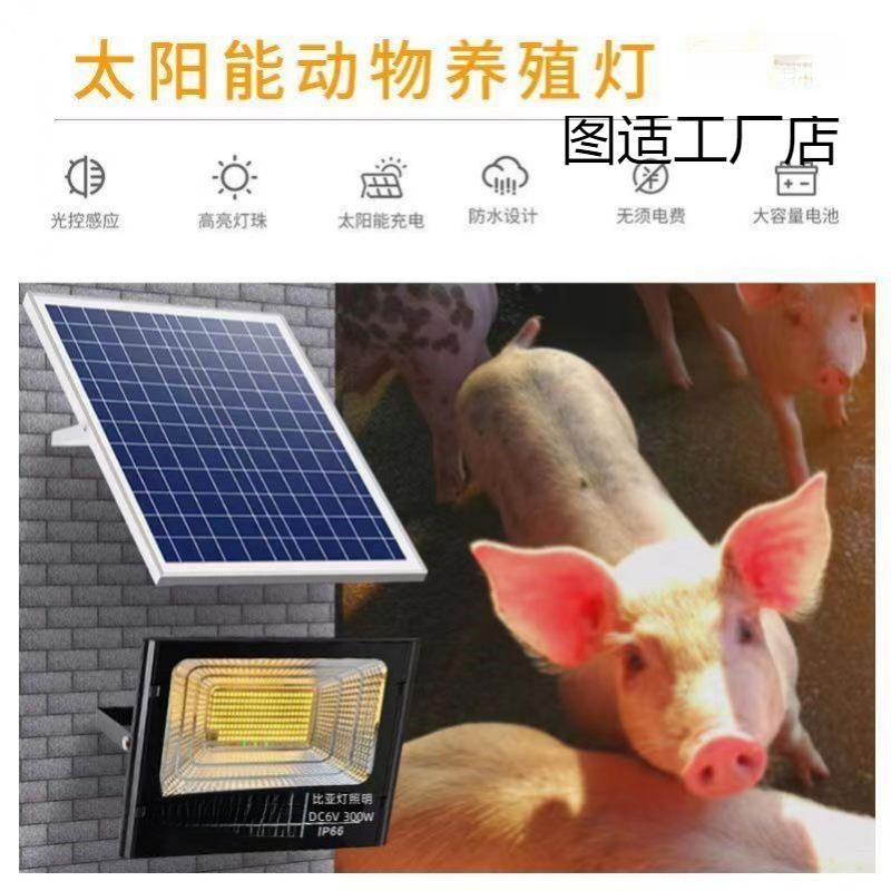 自丁动温控灯器图适工厂加温芦鸡小鸡太阳能殖养场育雏灯控温保温