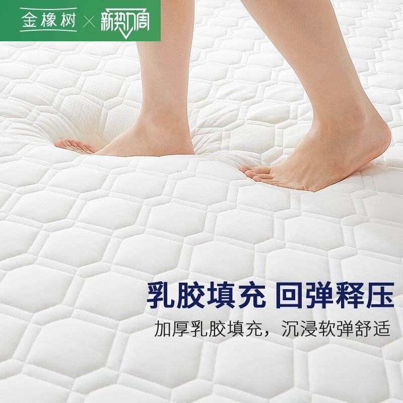 金橡树厚乳胶床垫软垫家榻用加宿舍GGA学单人榻米垫子海绵垫生褥